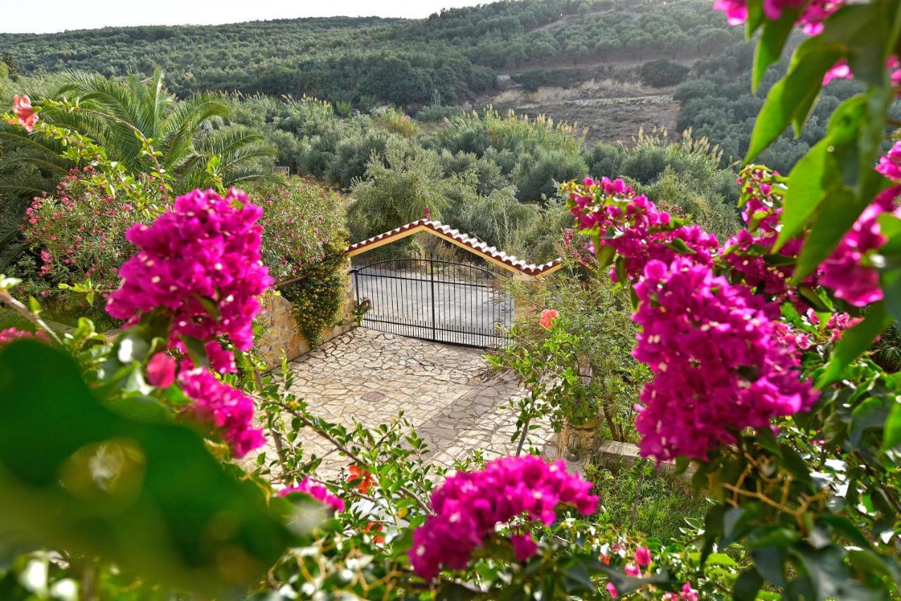 Olive Farm Villa Agia Marina Exteriör bild