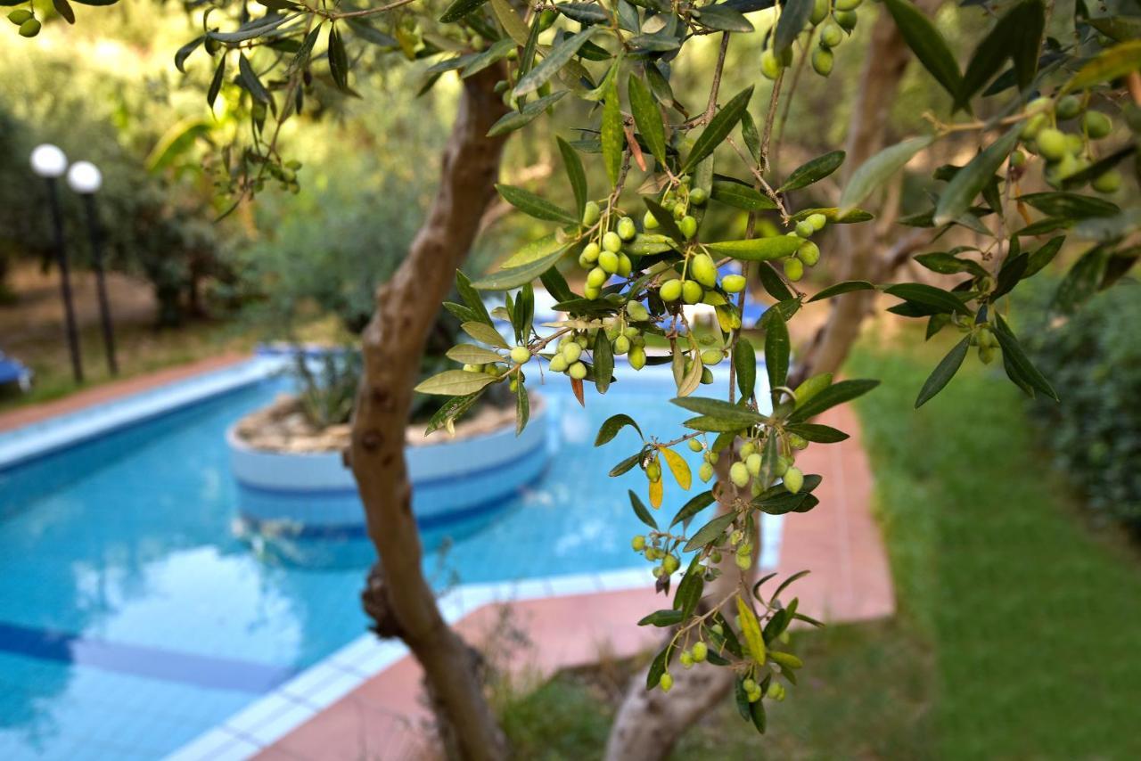 Olive Farm Villa Agia Marina Exteriör bild