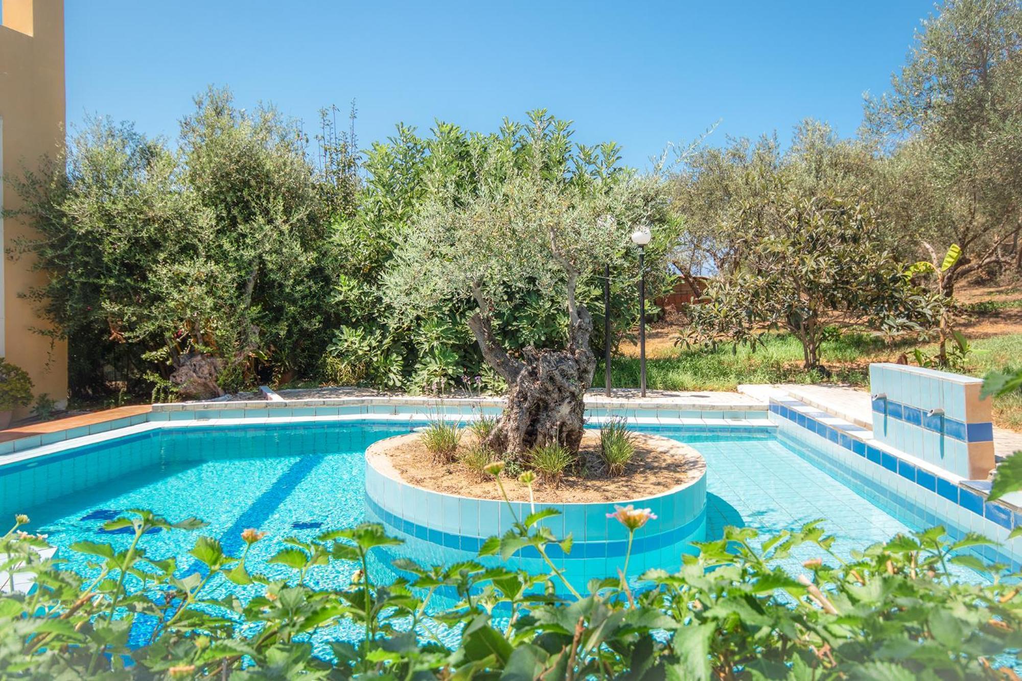 Olive Farm Villa Agia Marina Exteriör bild