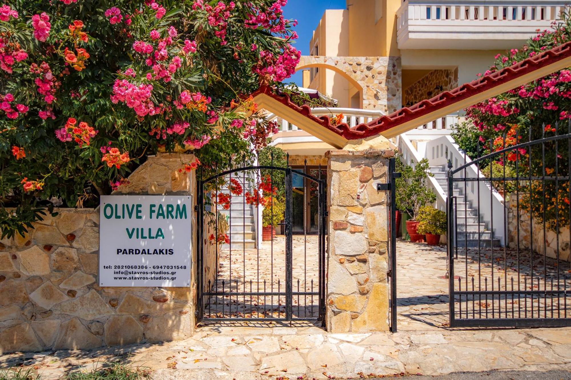 Olive Farm Villa Agia Marina Exteriör bild